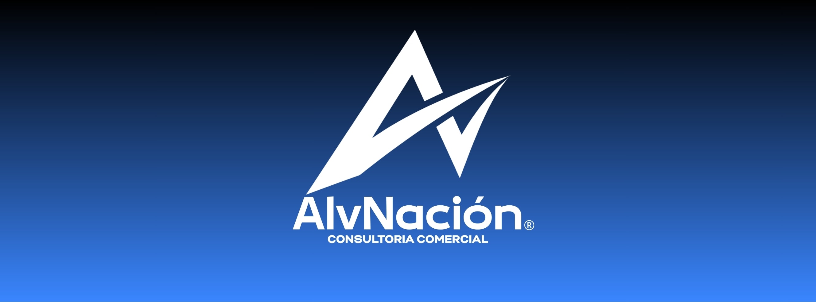 AlvNación — Equipo y trabajo